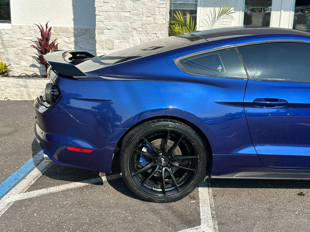 2016 Ford Mustang 2dr Fastback V6 Jacksonville FL