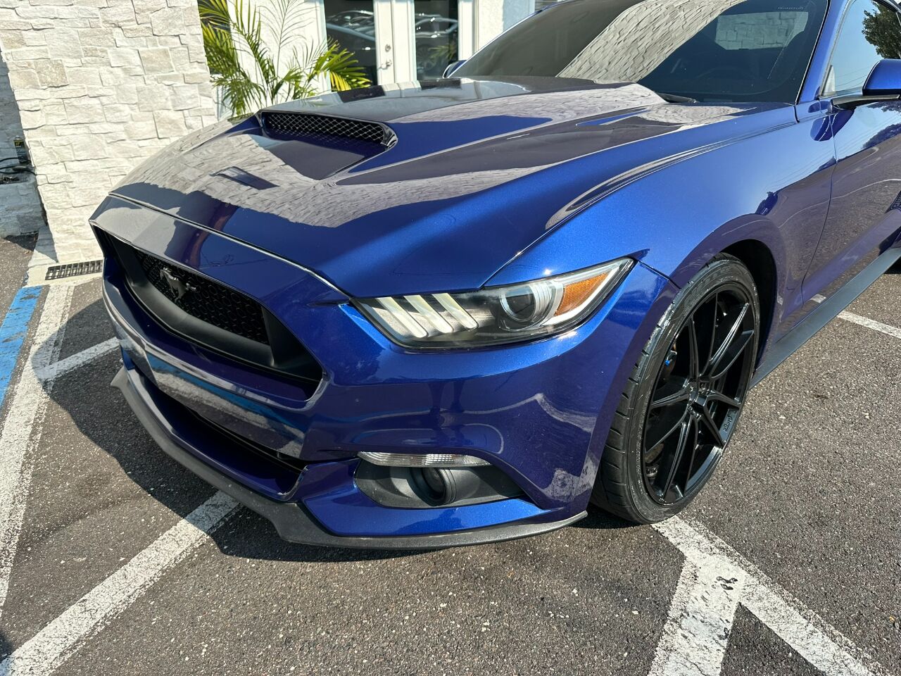 2016 Ford Mustang 2dr Fastback V6 Jacksonville FL
