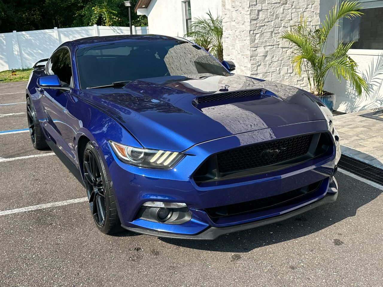 2016 Ford Mustang 2dr Fastback V6 Jacksonville FL