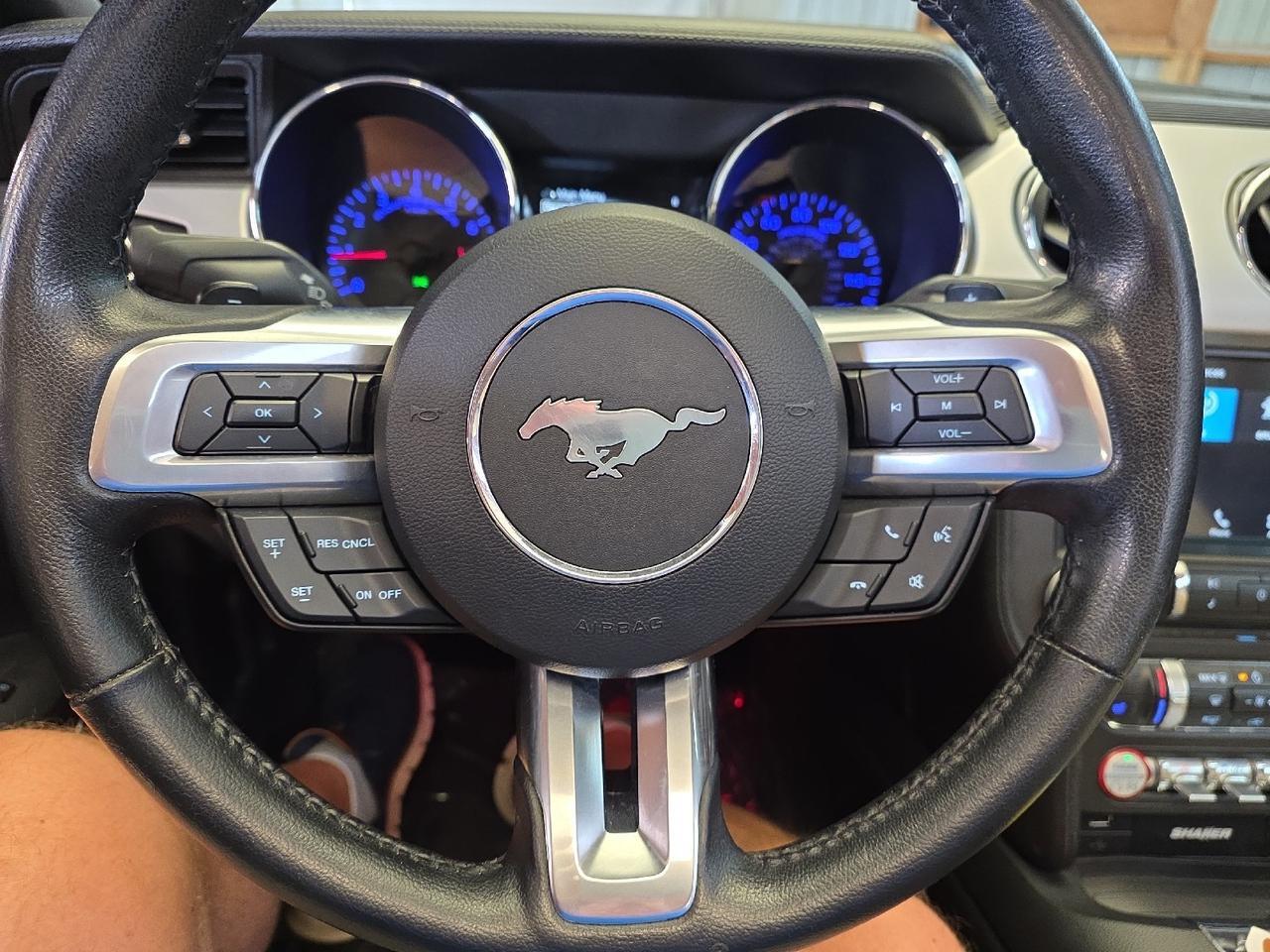 2016 Ford Mustang EcoBoost Premium Sand Lake NY