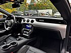 2016 Ford Mustang GT Premium Willow Grove PA