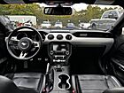 2016 Ford Mustang GT Premium Willow Grove PA