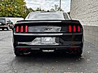 2016 Ford Mustang GT Premium Willow Grove PA