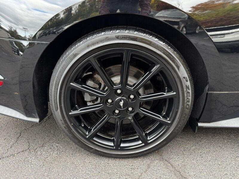 2016 Ford Mustang GT Premium Willow Grove PA