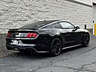 2016 Ford Mustang GT Premium Willow Grove PA
