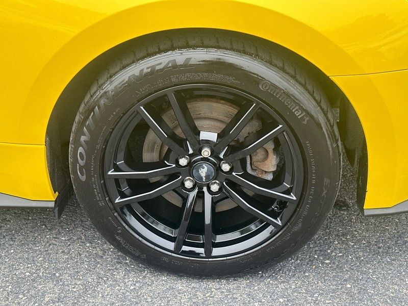 2016 Ford Mustang GT Premium Worcester MA