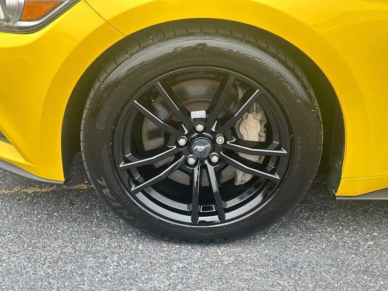 2016 Ford Mustang GT Premium Worcester MA