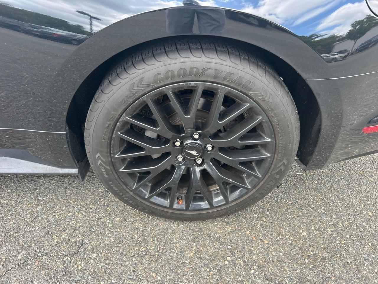 2016 Ford Mustang GT Ashland VA