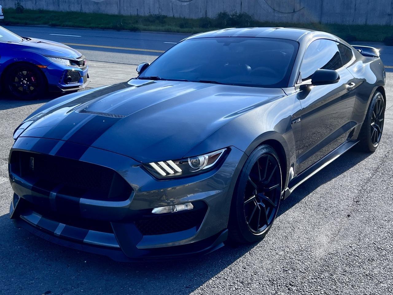 2016 Ford Mustang Shelby GT350 San Rafael CA