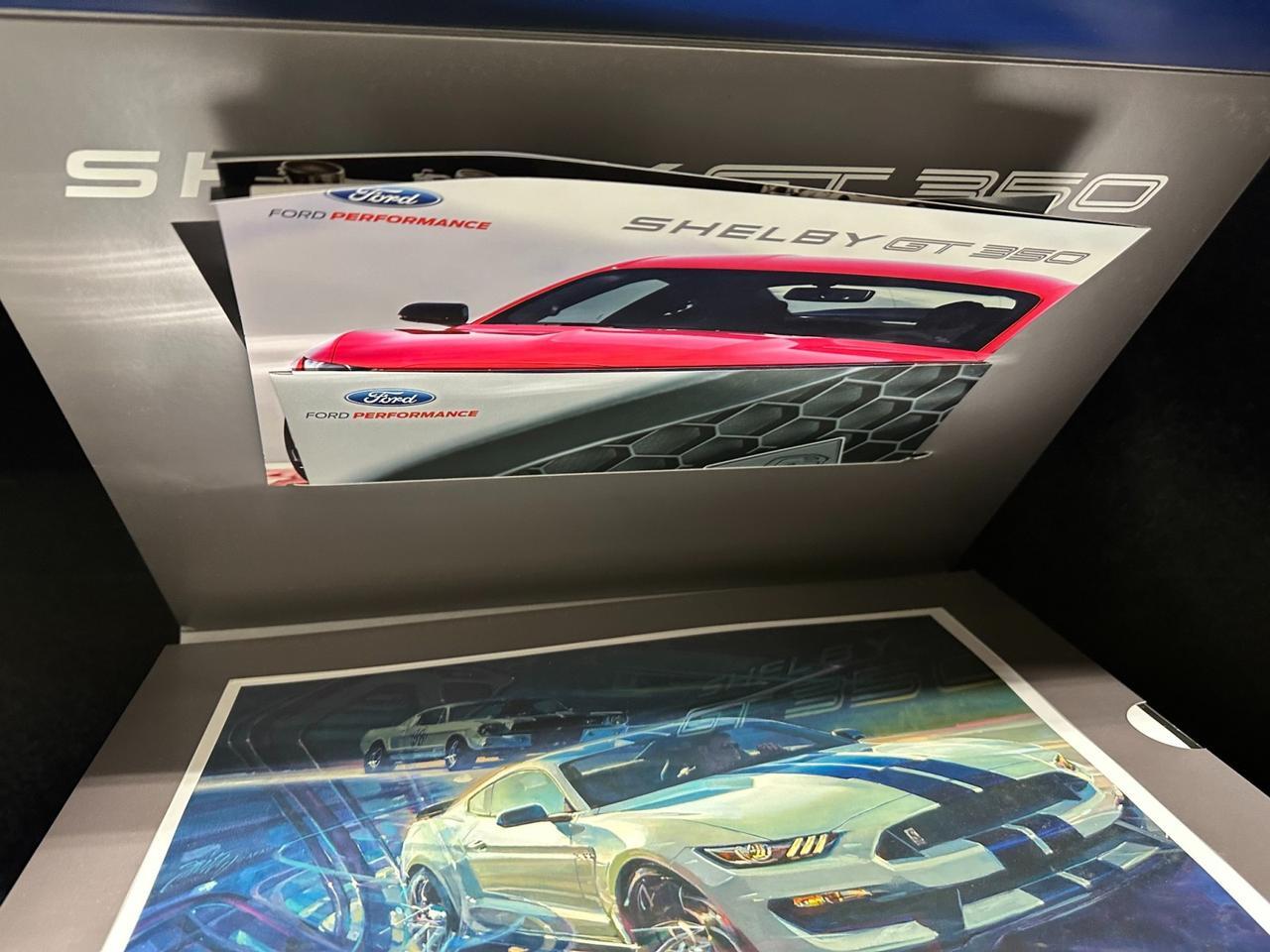 2016 Ford Mustang Shelby GT350R Houston TX