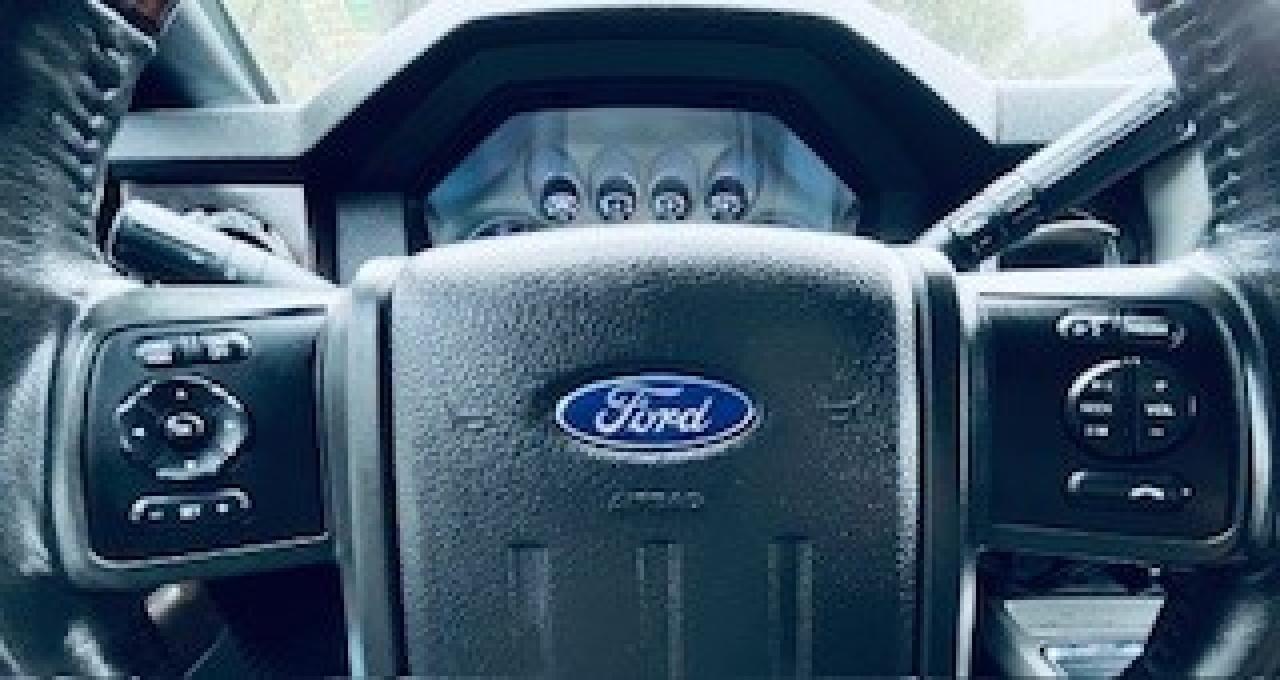 2016 Ford Super Duty F-350 SRW Platinum Spring Branch TX