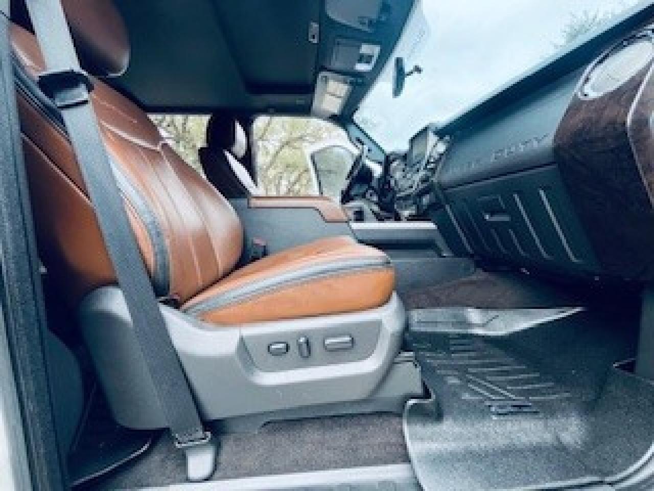 2016 Ford Super Duty F-350 SRW Platinum Spring Branch TX