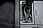 2016 Ford Taurus SEL Anchorage AK