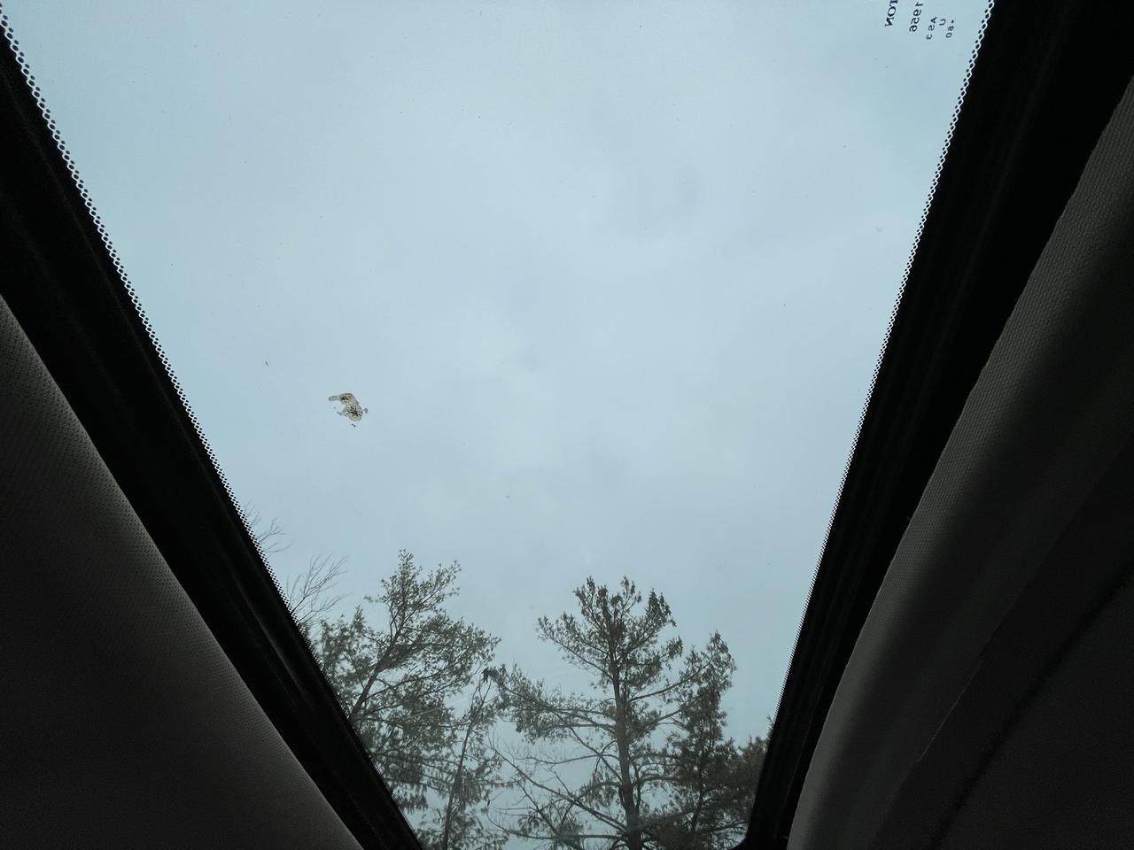 2016 Honda CR-V EX-L Alexandria VA