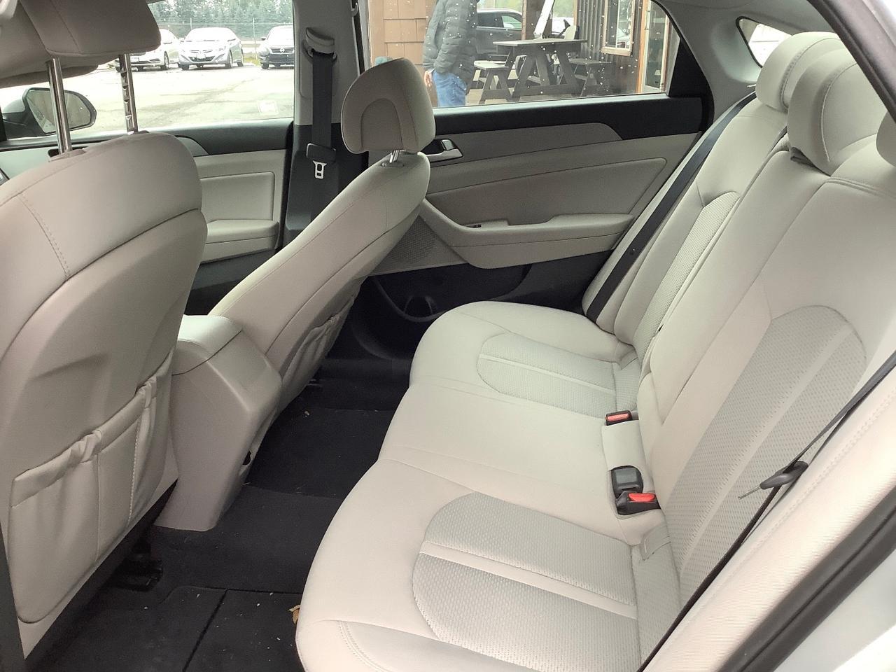 2016 Hyundai Sonata ECO Hayden ID