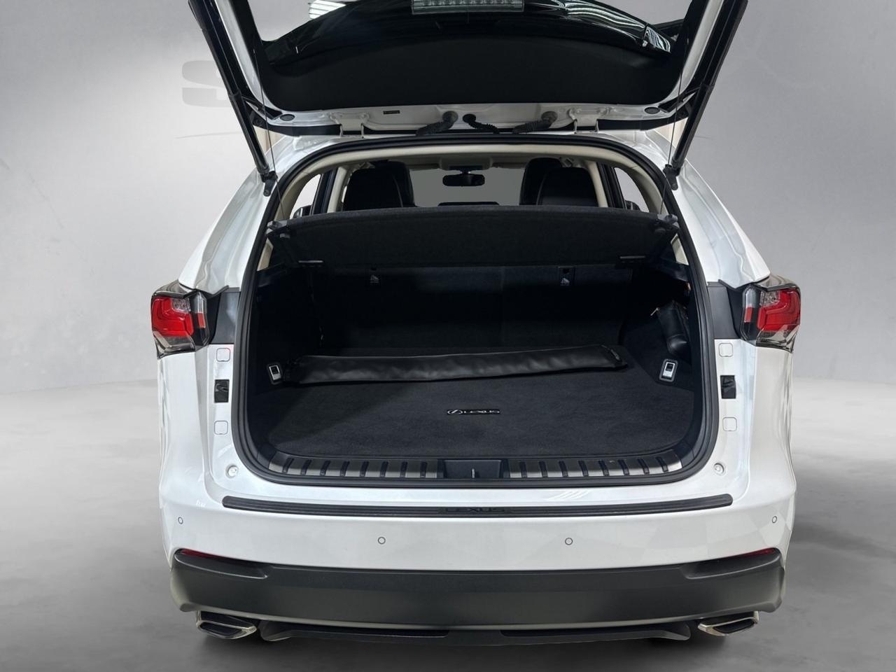 2016 Lexus NX 200t Annapolis MD