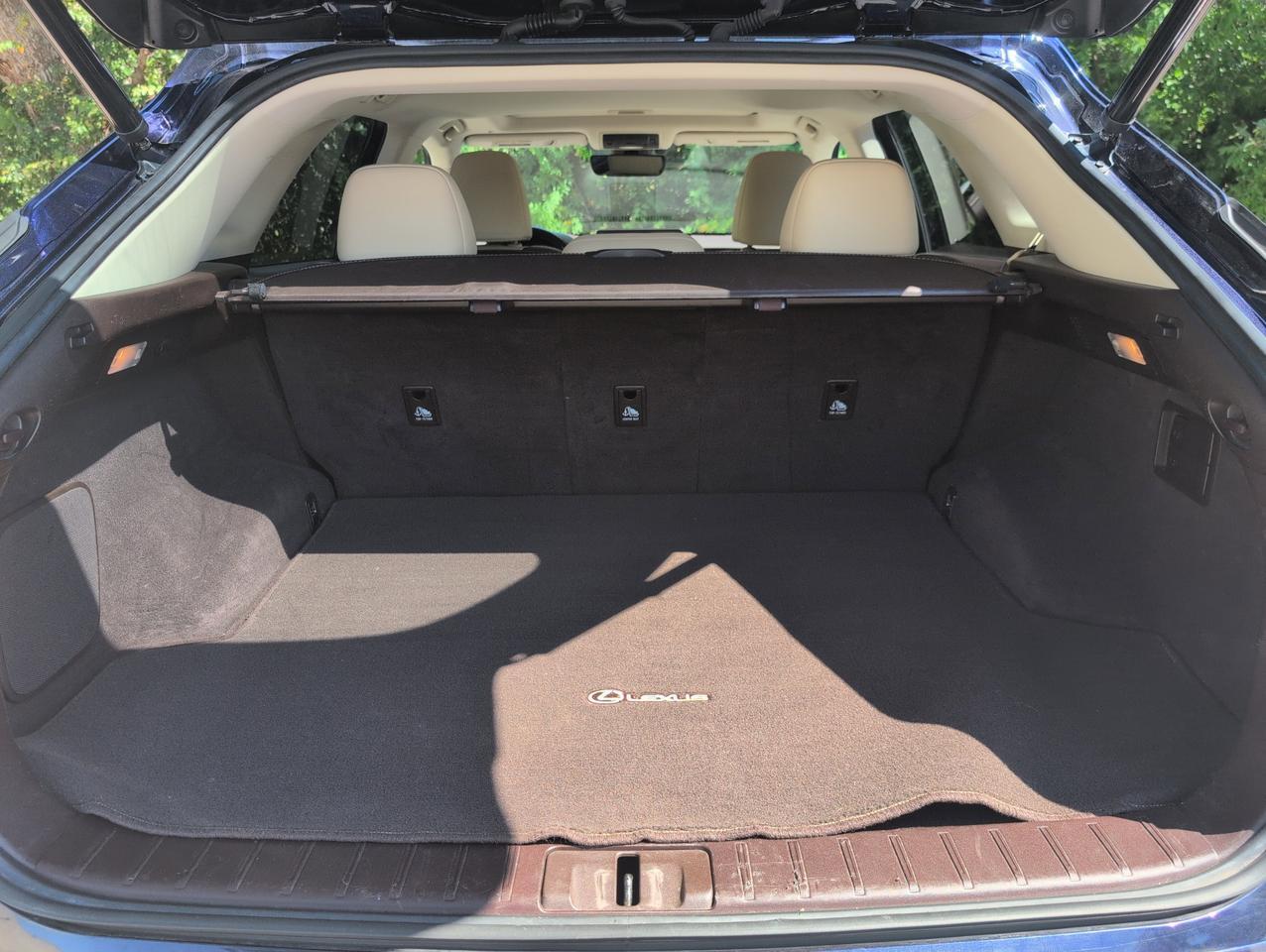 2016 Lexus RX 350 FSPORT San Antonio TX