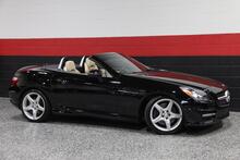 2016 Mercedes-Benz SLK 300 AMG Sport 2dr Roadster