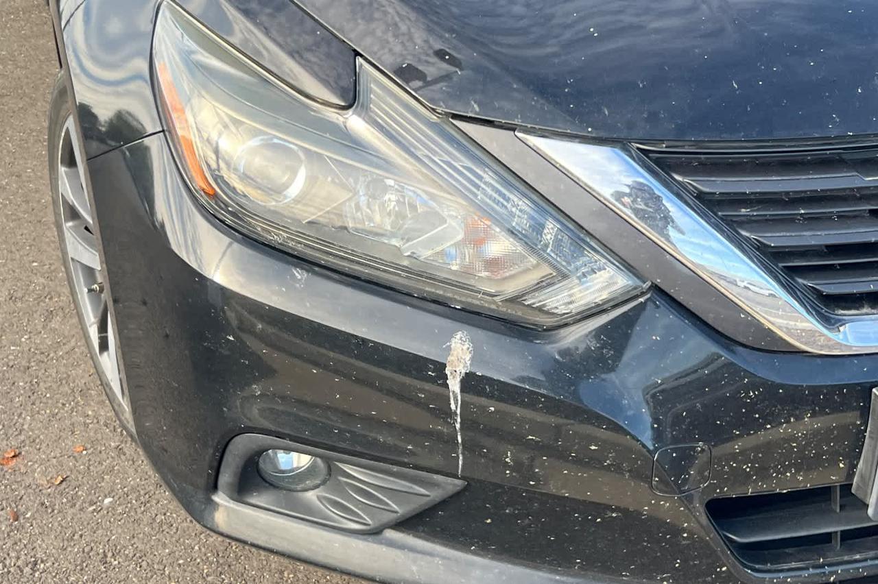 2016 Nissan Altima 2.5 SR Roseville CA