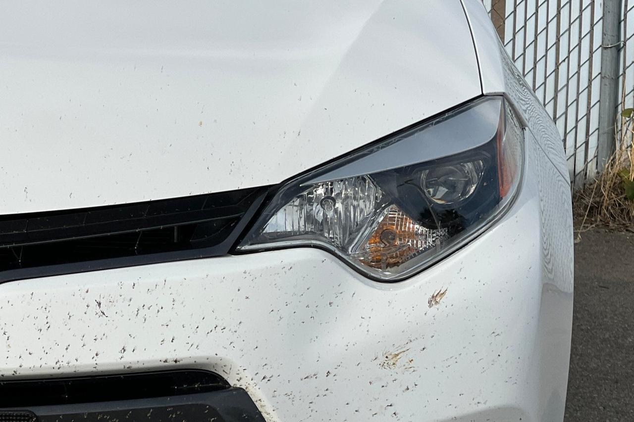 2016 Toyota Corolla LE Roseville CA