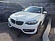 2017 BMW 2 Series 230i
