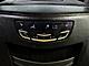 2017 Cadillac Escalade Luxury St. Charles  IL