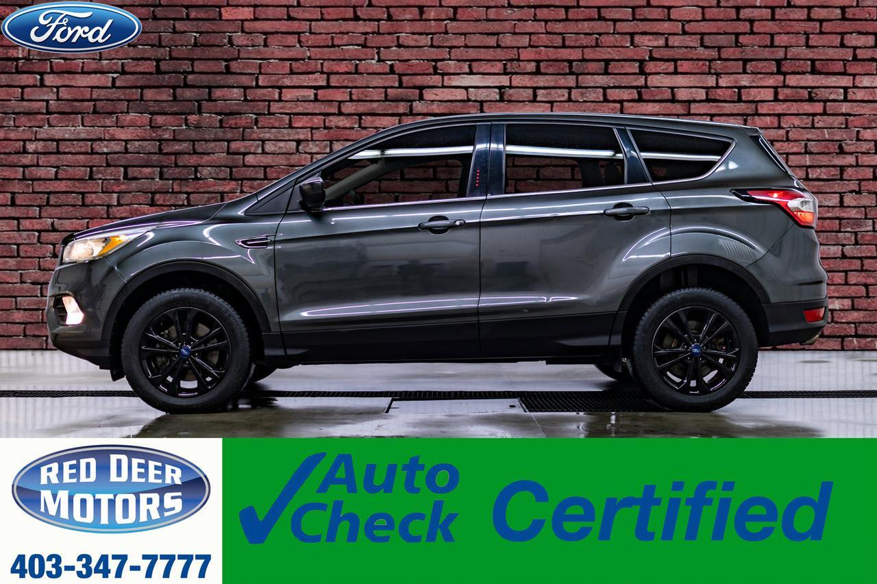 2017 Ford Escape AWD SE BCam