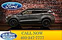 2017 Ford Escape AWD SE Nav Bcam