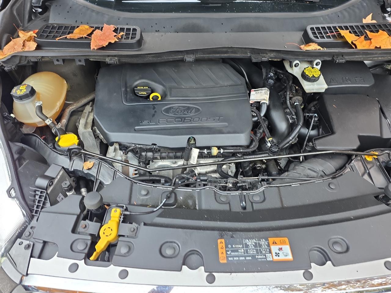2017 Ford Escape SE Sand Lake NY