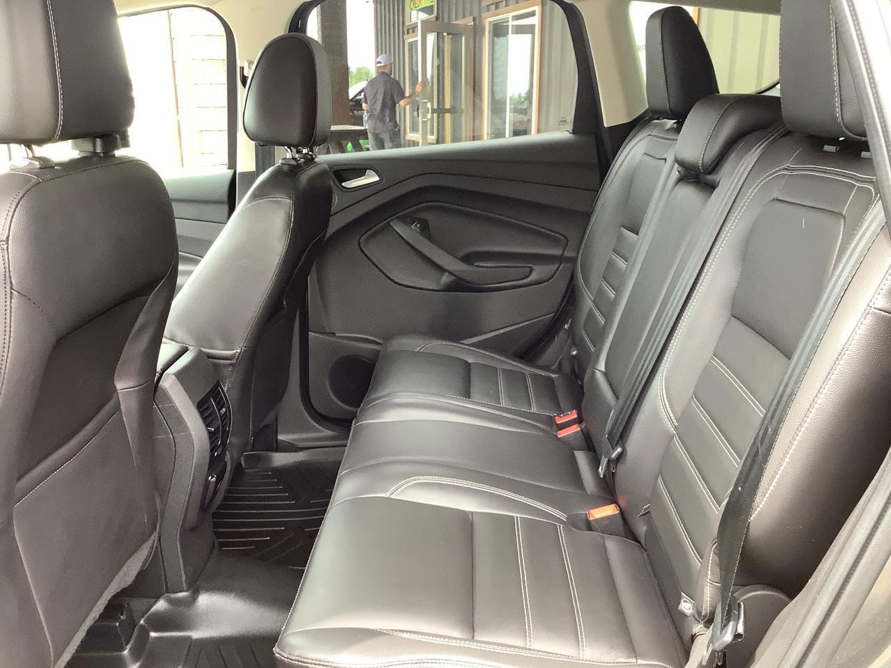 2017 Ford Escape Titanium Hayden ID