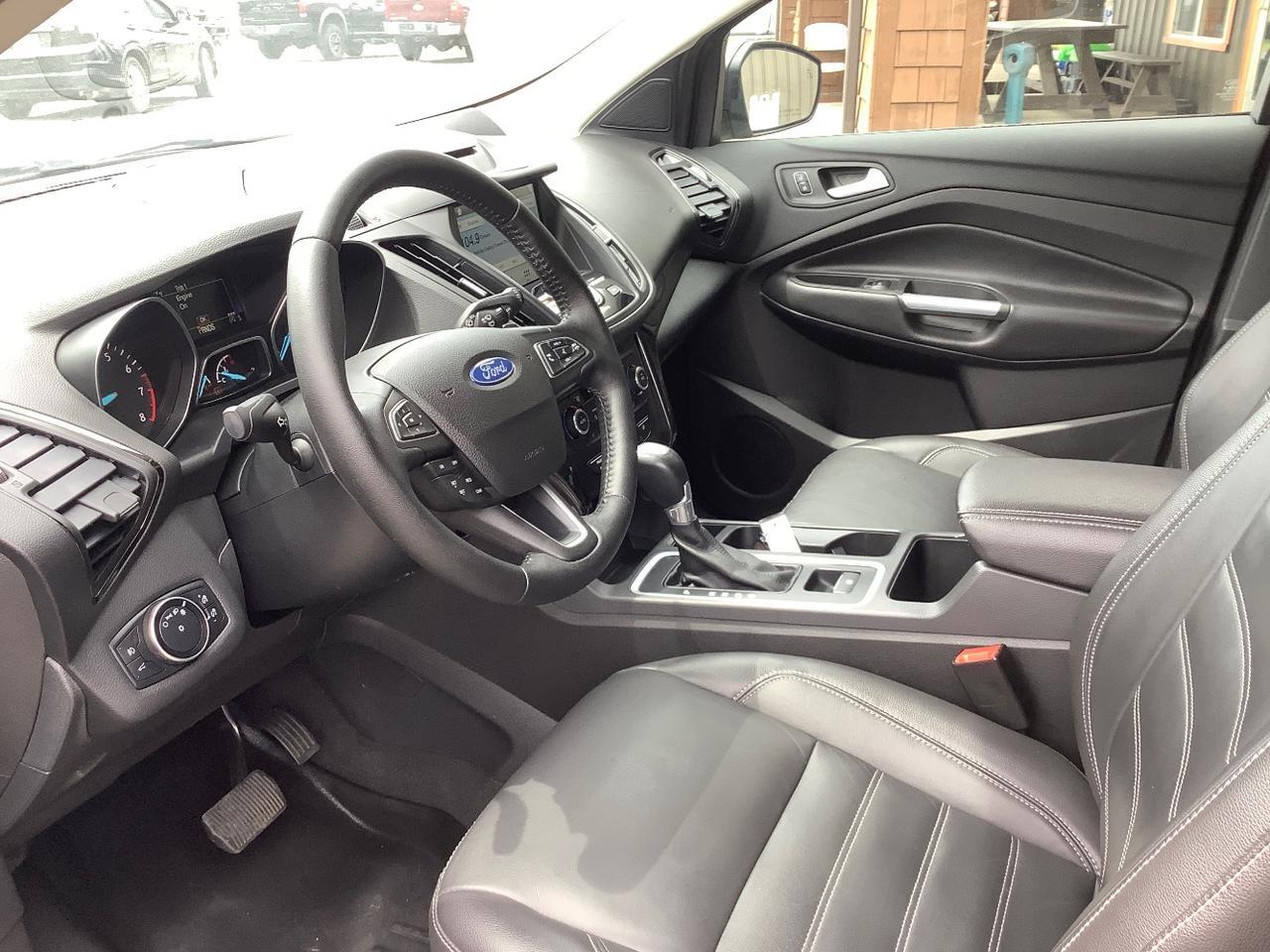 2017 Ford Escape Titanium Hayden ID