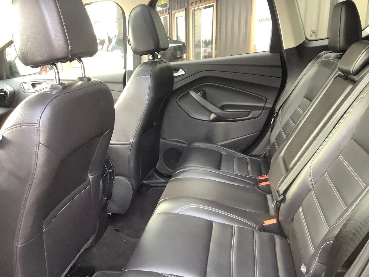2017 Ford Escape Titanium Hayden ID