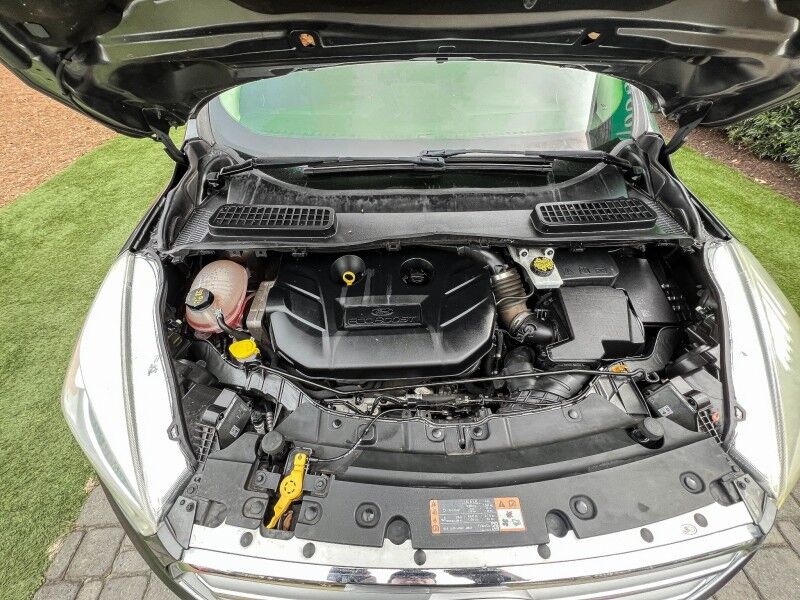 2017 Ford Escape Titanium Wilmington NC