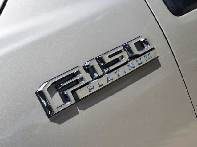 2017 Ford F-150 Platinum Grapevine TX