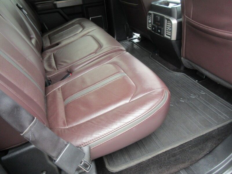 2017 Ford F-150 Platinum St. George SC