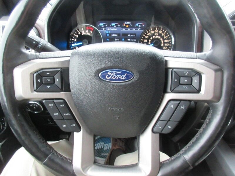 2017 Ford F-150 Platinum St. George SC