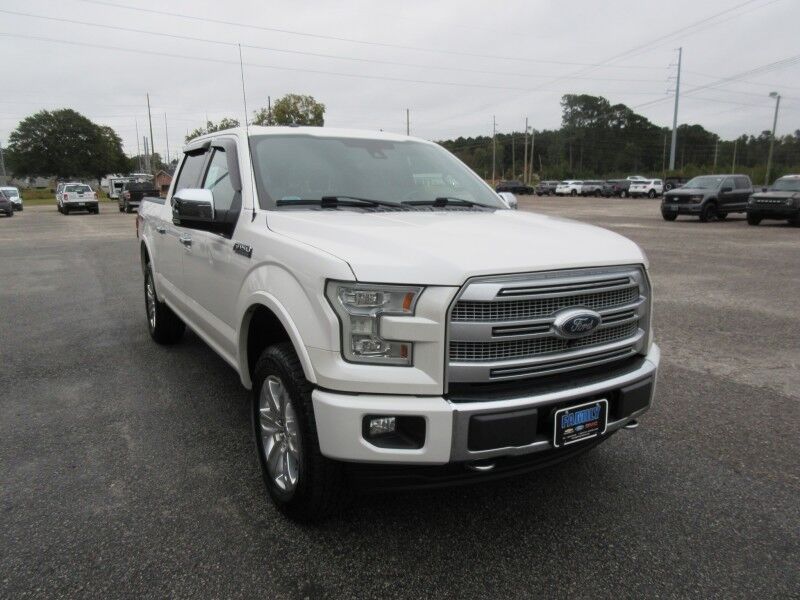 2017 Ford F-150 Platinum St. George SC