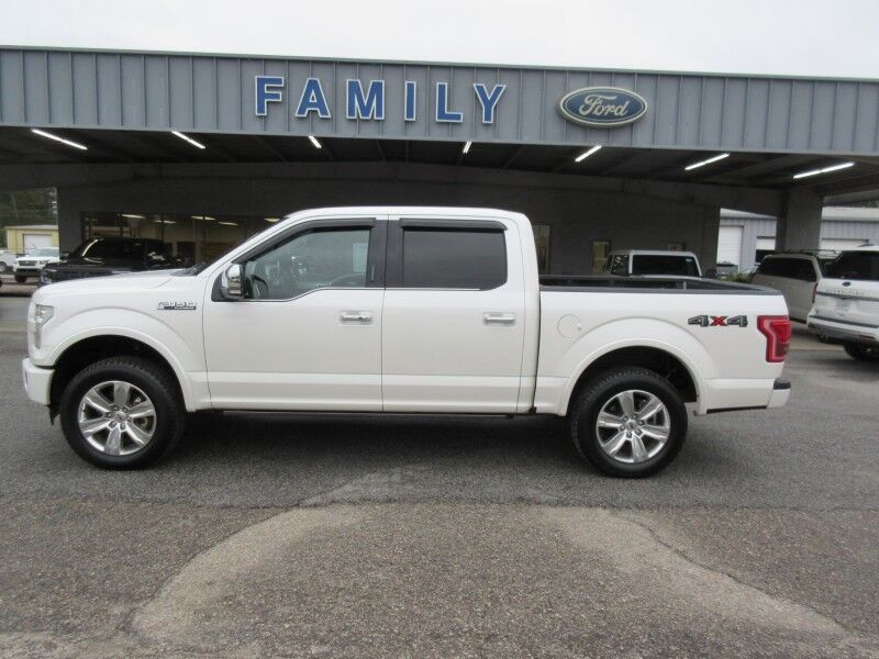 2017 Ford F-150 Platinum St. George SC