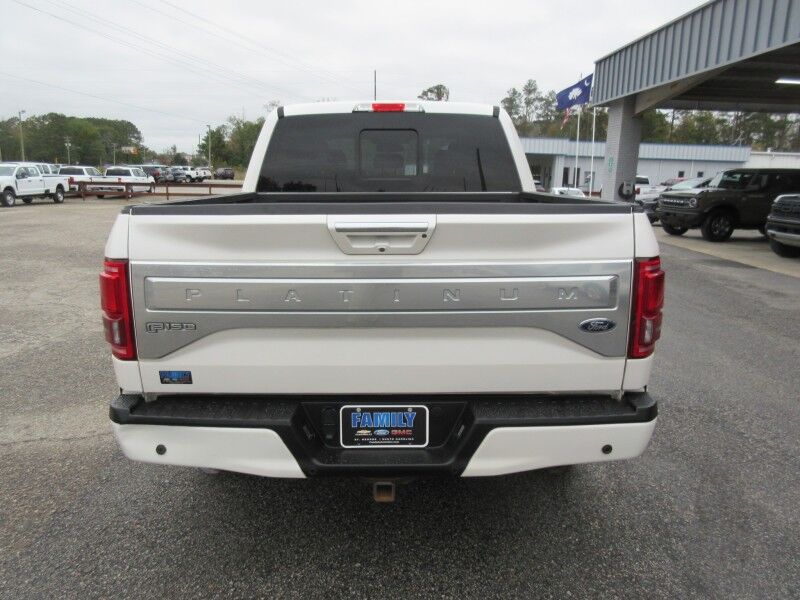 2017 Ford F-150 Platinum St. George SC