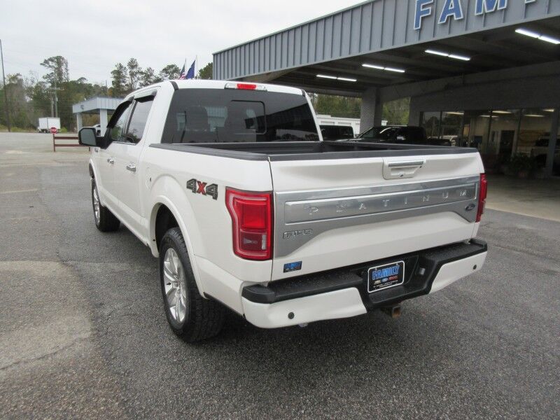 2017 Ford F-150 Platinum St. George SC