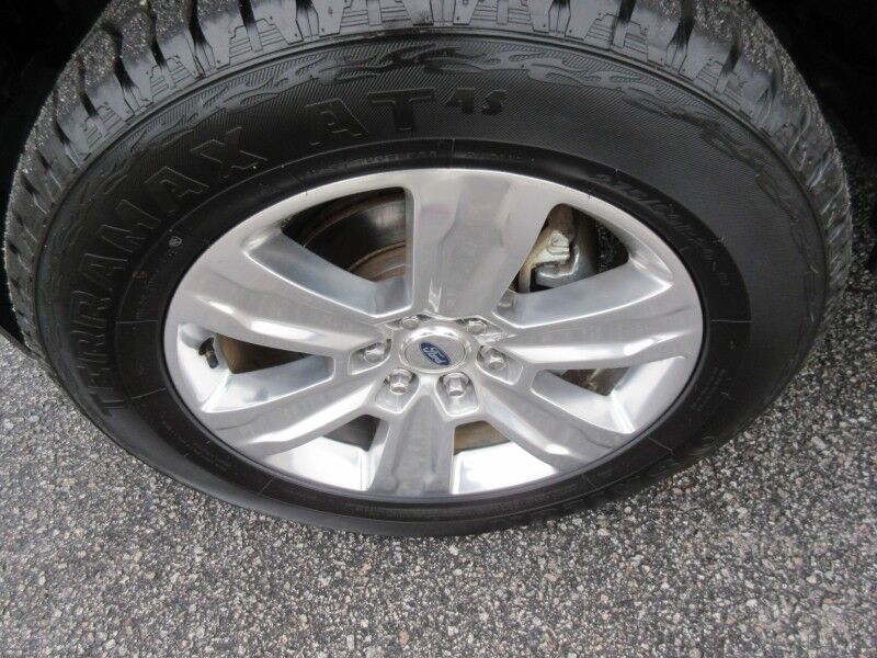 2017 Ford F-150 Platinum St. George SC