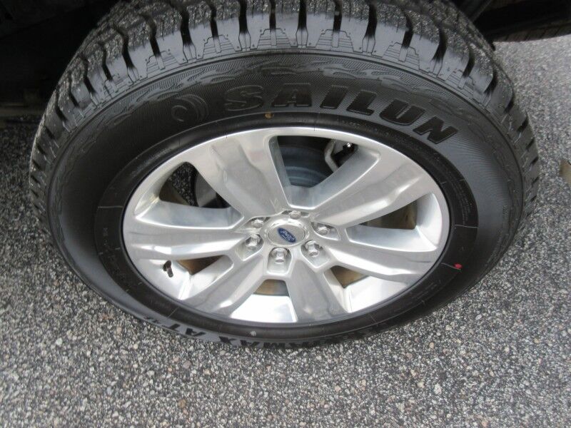 2017 Ford F-150 Platinum St. George SC