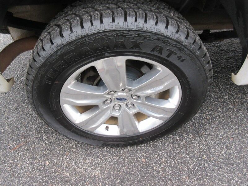 2017 Ford F-150 Platinum St. George SC