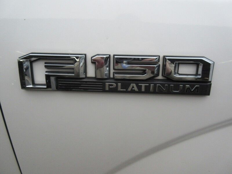 2017 Ford F-150 Platinum St. George SC