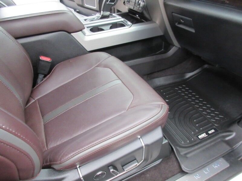 2017 Ford F-150 Platinum St. George SC