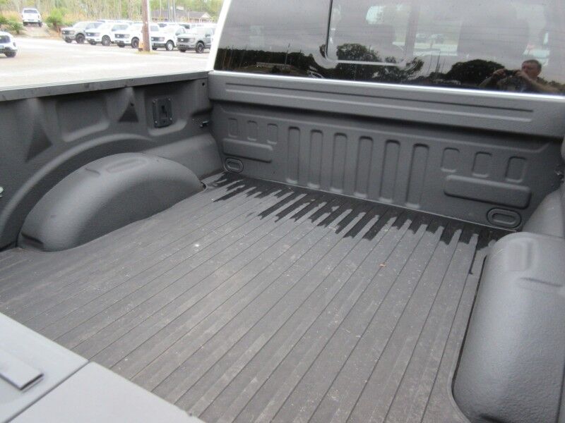 2017 Ford F-150 Platinum St. George SC