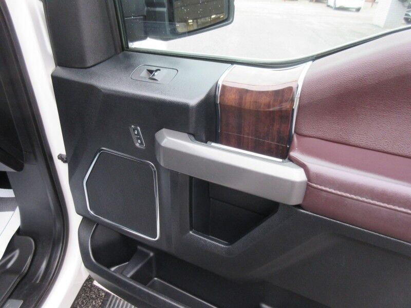 2017 Ford F-150 Platinum St. George SC