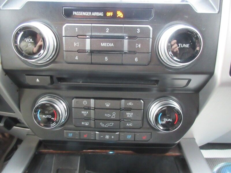 2017 Ford F-150 Platinum St. George SC