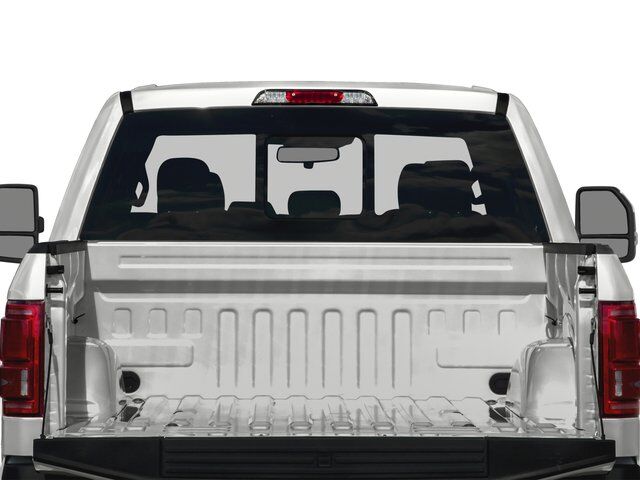 2017 Ford F-150 Platinum San Juan TX