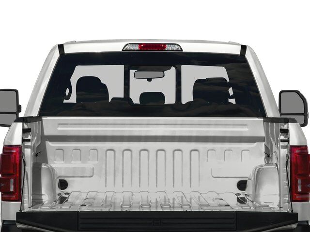 2017 Ford F-150 Platinum Winder GA